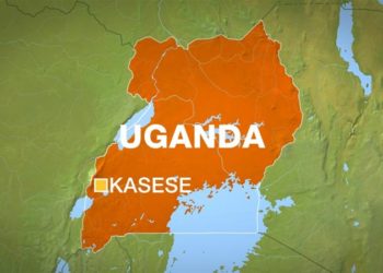 BLOOD-THIRSTY RWENZURURU: What we know so far