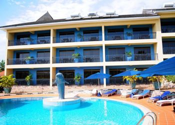 Dolphin Suites unveils free swimming package