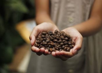 Uganda sees highest amount of coffee exported in a month since 1991