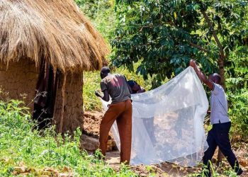 Uganda Recorded 12,270 Malaria Deaths in 2019