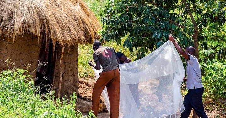 Uganda Recorded 12,270 Malaria Deaths in 2019