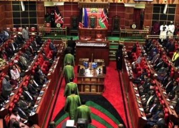 Panic grips Kenya’s parliament after MP carries gun
