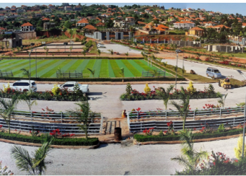 Ham Palm Villas taking shape