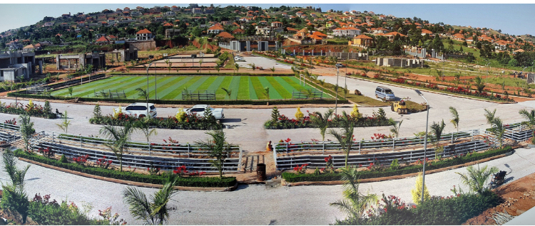 Ham Palm Villas taking shape