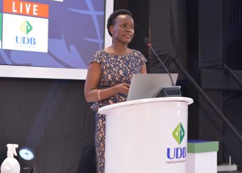 UDB aligning funding for a resilient economy