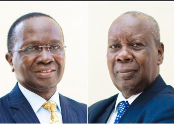 PERSPECTIVE: There are more than 1000 reasons to indulge in an authentic Ugandan tourism experience this festive season, but here’s just a few of them