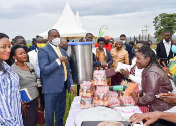 Emyooga program in greater Masaka successful – Minister Kasolo
