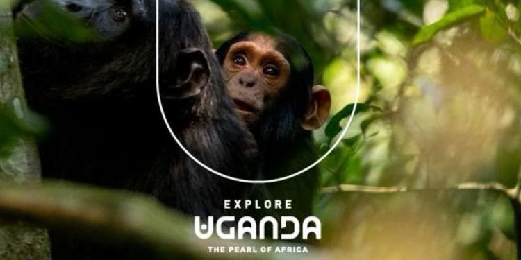 Explore Uganda shines spotlight on The Pearl of Africa