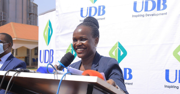UDB  interventions support economy in the Post Covid-19 pandemic recovery