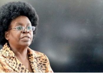 Government investigates low COVID-19 cases