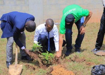 Riham Partners With Rotaract Uganda In A Drive To Plant 10,000 Trees By The End Of 2022