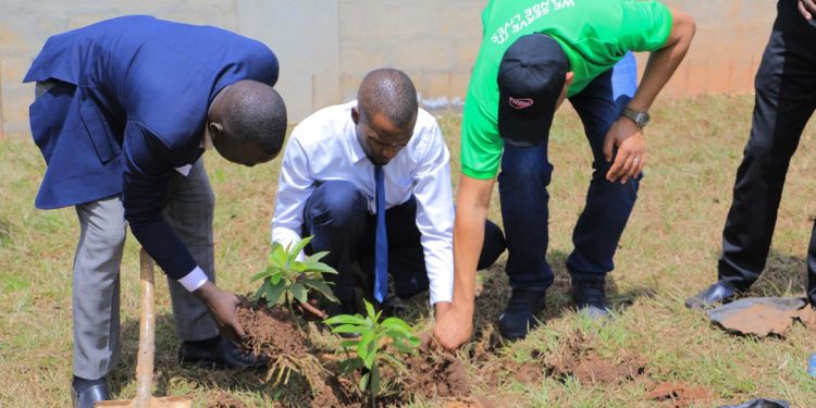 Riham Partners With Rotaract Uganda In A Drive To Plant 10,000 Trees By The End Of 2022