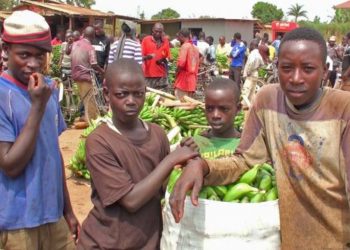 The fight to end child labour in Uganda