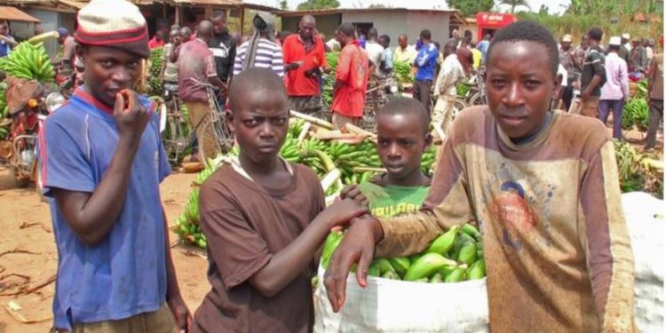 The fight to end child labour in Uganda