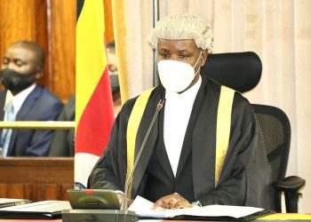 MPs Set Up Team To Challenge Hastily Passed Roko Deal