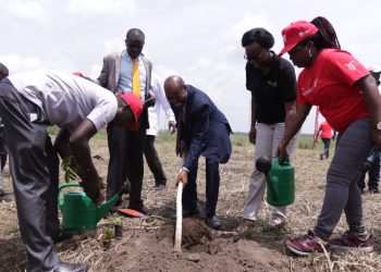 FINCA Uganda, NFA embark on nationwide forest restoration initiative