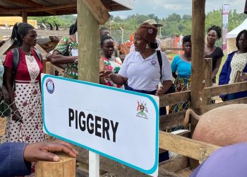 Agric Ministry Responds to reports on ACDP Value Addition Facilities In Kamwenge