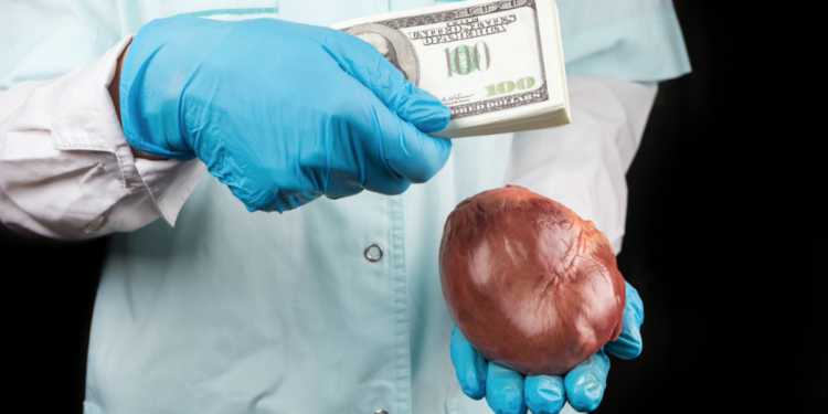 House sets tough penalties for human organ trade