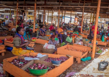 CTI Africa partners with Institute of Social Transformation and Inclusive Health Bureau