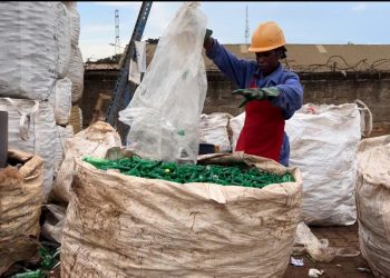 Africa’s large informal economy a key element of strategies to eliminate plastic waste – Coca-Cola CEO Vermeulen