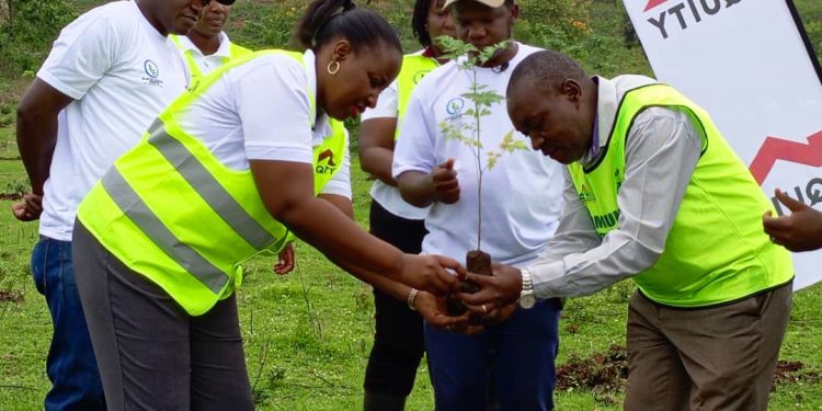 Equity Bank launches Kasese conservation forestry program