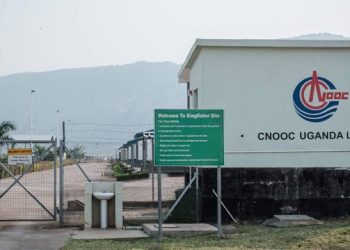 Kingfishers Project Works Resume