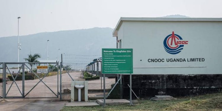 Kingfishers Project Works Resume